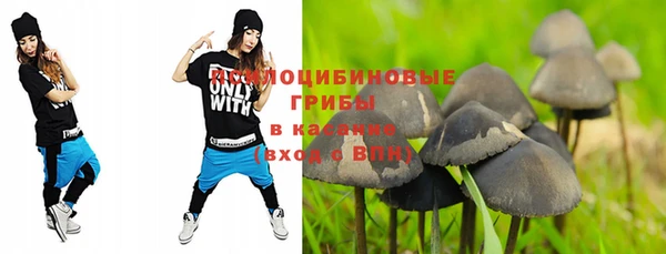 синтетический гашиш Бородино